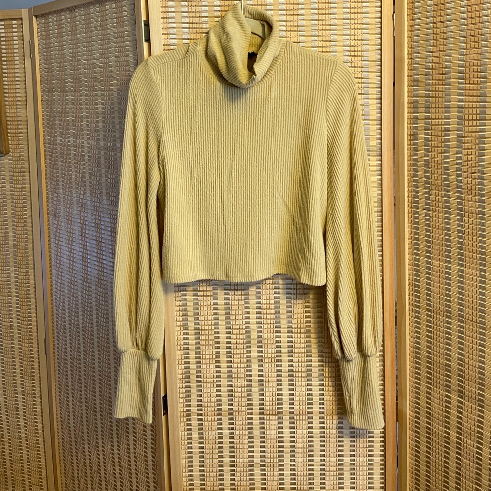 Long Sleeve Cropped Turtleneck Sweater